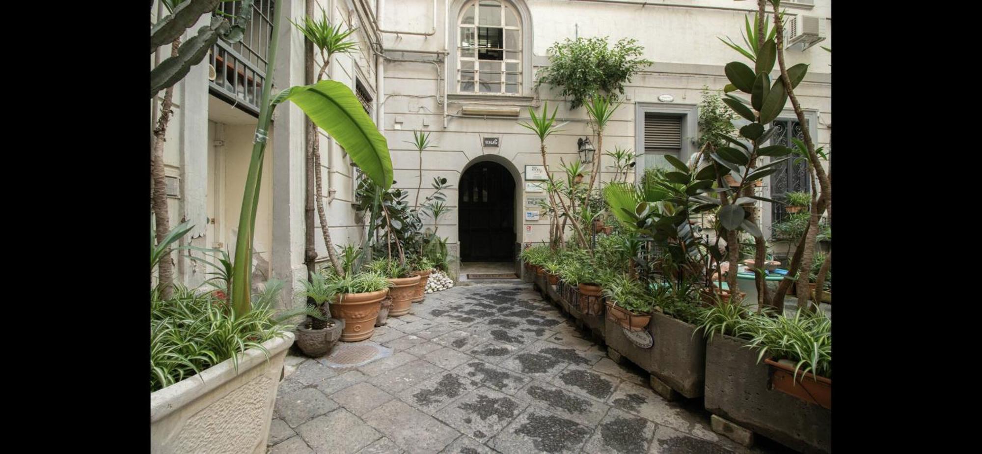 Best Nest * Naples
